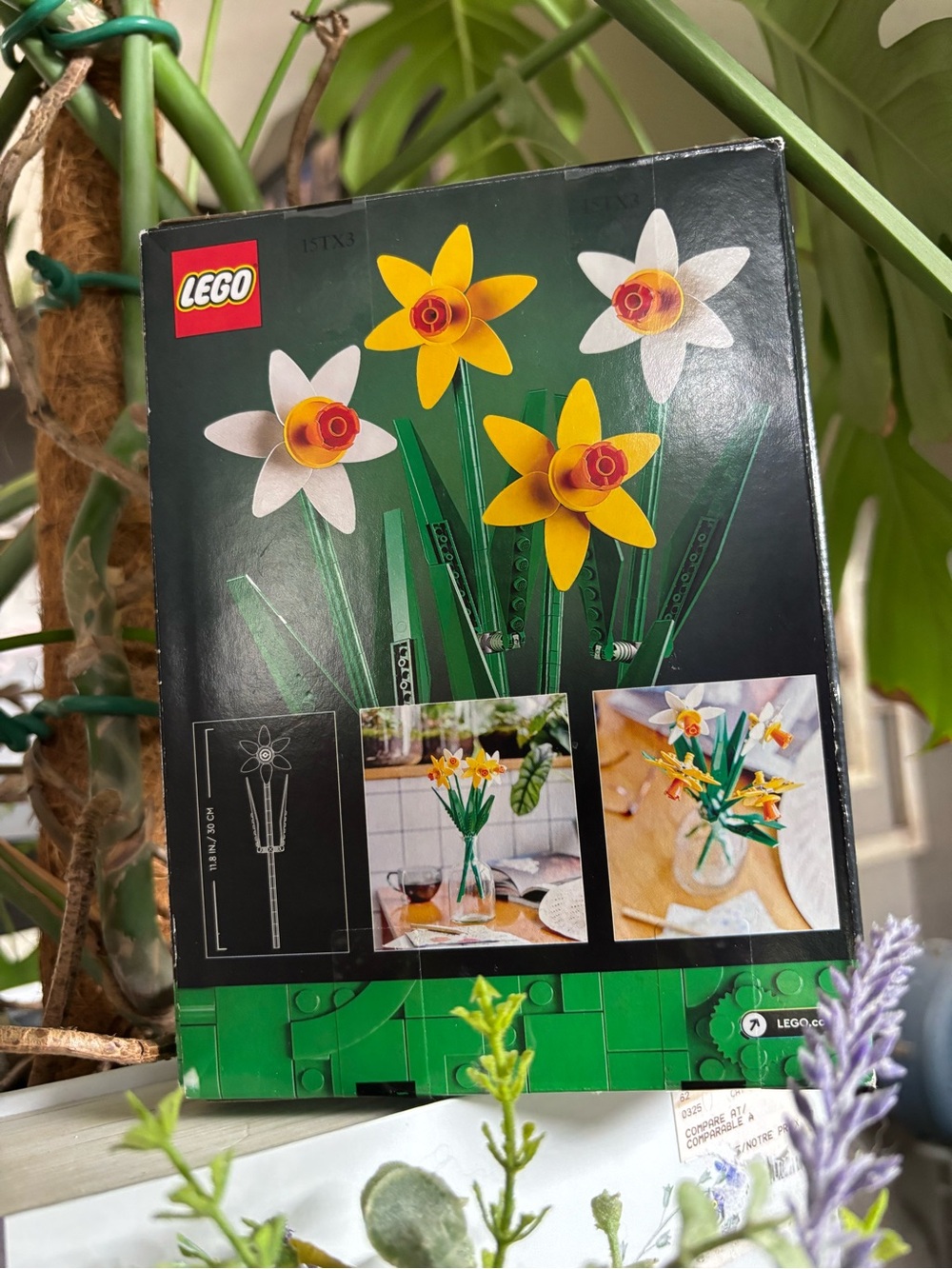 LEGO Botanical Collection - Daffodils - Picture 6 of 7